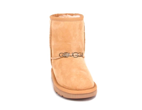 Kids Classic Short Chestnut 2