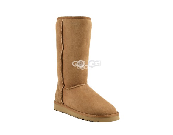 Classic Tall Chestnut II 2