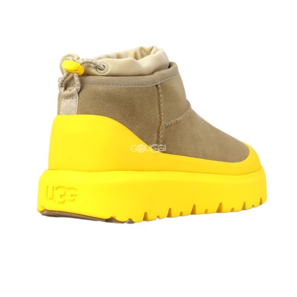 Cl Ultra Mini Weather Hybrid Mustard Seed/Summer Wheat